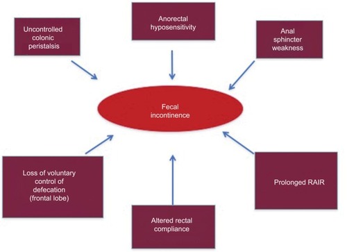 Figure 3 Diagram showing the multifactorial origin of fecal incontinence.
