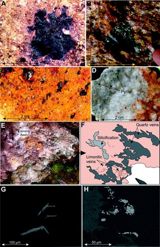 Figure 13. Altered, veined and mineralised rocks from the HHS. A, Strongly altered partially oxidised granite comprising relict igneous quartz, phengite and a limonite-filled cavity (2116800 E, 5357750 N). B, Miarolitic cavity filled with quartz, pyrite and molybdenite (OU84955). C, Strongly altered partially oxidised granite containing cavities filled with gossanous material and relict pyrite (OU84956). D, Silicified granite containing disseminated pyrite and traces of molybdenite (from the same outcrop as OU84955). E, F, Altered granite cut by irregular-shaped veins partly filled by vuggy white quartz developed in large miariolitic cavities. G, Disseminated molybdenite intergrown with phengitee, backscattered SEM image (OU84954). H, Disseminated rutile in quartz, the main source of W in the HHS, backscattered SEM image (OU84954).