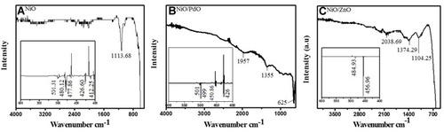 Figure 1 FTIR spectra of biosynthesized nanomaterials: (A) NiO; (B) NiO–PdO; (C) NiO–ZnO.