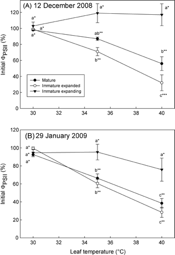 Fig. 3  Effect of rapid alterations in leaf temperature on proportionate changes in quantum yield (FPSII ) for leaf segments sampled on (A) 12 December 2008 and (B) 29 January 2009. Data are means±SE (at least four replicates), expressed as percentage difference from values at 30 °C. Differences were determined using the Holm–Sidak method; means followed by different letters horizontally within a temperature treatment or different numbers of asterisks vertically within a parameter are statistically different at p<0.05.