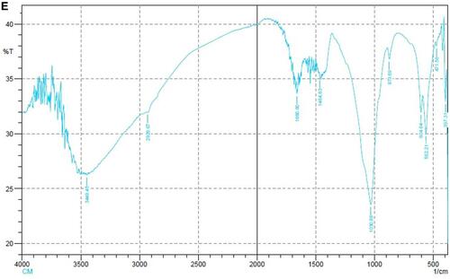 Figure 7 Spectrum image of dentin treated with calcium hydroxide.