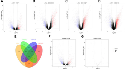 Figure 3 Identification of Differentially Expressed Genes (DEGs). Volcano map of differently expressed lncRNAs, miRNAs and mRNAs between TNBC and non-TNBC samples. Red spots represent upregulated genes, and blue spots represent downregulated genes. (A) 2,277 DEmRNAs (1,042 upregulated and 1,235 downregulated) in TCGA TNBC cohorts; (B) 1,717 DEmRNAs (1,111 upregulated and 606 downregulated) in GSE38959 TNBC cohorts; (C) 3,461 DEmRNAs (2,464 upregulated and 997 downregulated) in GSE45827 TNBC cohorts; (D) 3,499 DEmRNAs (2,475 upregulated and 1,024 downregulated) in GSE65194 TNBC cohorts; (E) Venn diagrams represent the intersections of differentially expressed genes and 282 DEmRNAs were identified amongst four datasets above; (F) 1,045 DElncRNAs (437 upregulated and 608 downregulated) in TCGA TNBC cohorts; (G) 28 DEmiRNAs (15 upregulated and 13 downregulated) in TCGA TNBC cohorts.