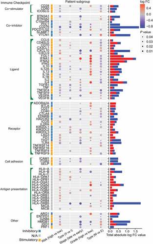 Figure 5. Differential expression patterns of 79 immunoregulators across patient subgroups with “high-risk” against “low-risk,” “type-II” against “type-I,” “late-stage” against “early-stage,” “high-grade” against “low-grade,” and “M-type” and “E-type” OC, respectively. The right histogram sums up the total “up” (blue) and “down” (red) absolute log FC values of each immunomodulator. OC, ovarian cancer. E, epithelial. M, mesenchymal