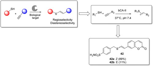 Figure 9. Thiol-yne reaction and structure of the hit compound 42.