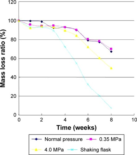 Figure 9 Mass loss of bFGF-PLGA MS during degradation in the static pressure loading experiment.