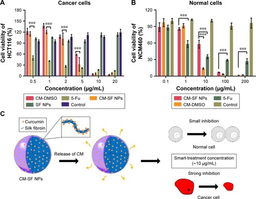 Figure 4 Smart-treatment potential of CM-SF NPs on colon cancer cells.Notes: (A) In vitro anticancer effect (dose-dependent) of CM-SF NPs on colon cancer HCT116 cells; (B) cytotoxicity of CM-SF NPs on normal NCM460 cells; (C) smart-treatment concentration range of CM-SF NPs, in which the growth of cancer cells was strongly inhibited, while the growth of normal cells was minimally inhibited. Results are shown as means ± SD, n=6. ***P<0.001.Abbreviations: CM, curcumin; SF, silk fibroin; NPs, nanoparticles; DMSO, dimethyl sulfoxide; 5-Fu, fluorouracil.