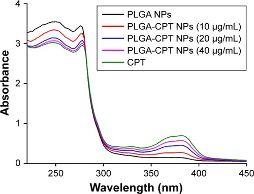 Figure 6 Ultraviolet–visible absorbance spectra of CYP3A4 in the presence of different concentrations of PLGA-CPT NPs.Abbreviations: CYP3A4, cytochrome P450 enzyme; NP, nanoparticle; PLGA-CPT, camptothecin-encapsulated poly(lactic-co-glycolic acid).