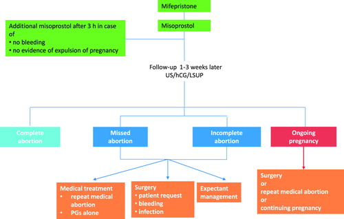 Figure 1. Management of MToP outcome. PG, prostaglandin; US, ultrasound.