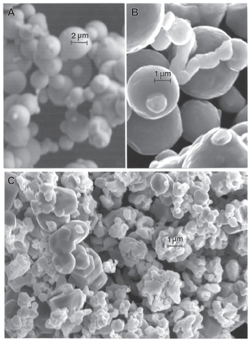 Figure 7 Field-emission scanning electron microscope images of micron-sized Fe and W powders. A Fe, B Fe, and C W.