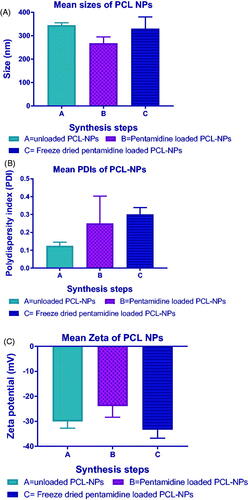 Figure 2. Particle physicochemical properties of unloaded, pentamidine-loaded and freeze dried pentamidine-loaded PCL nanoparticles. (A) Sizes, (B) PDIs, (C) Zeta potentials. Data is presented as mean ± SE. Sample size (n = 6). No statistical differences were found at p < .05.