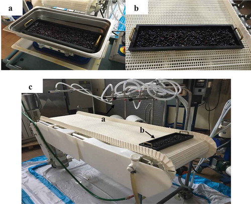 Figure 1. Custom-built pilot-scale processing line and setup for treatment of inoculated wild blueberries