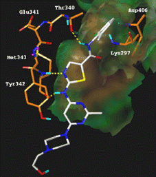 Figure 3 Illustration of a possible binding mode of BMS-354825 in the ATP binding site of active Src kinase.