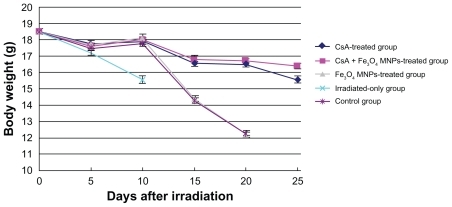 Figure 2 Body weights of mice for 25 days after irradiation with or without translation.Abbreviations: CsA, cyclosporine A; Fe3O4 MNPs, Fe3O4 magnetic nanoparticles.