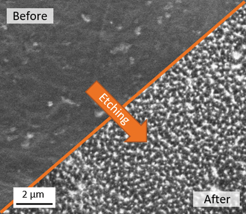 Figure 6. Effect of low-pressure oxygen plasma etching on polymers: Before and after comparison of the treated surface (SEM image).