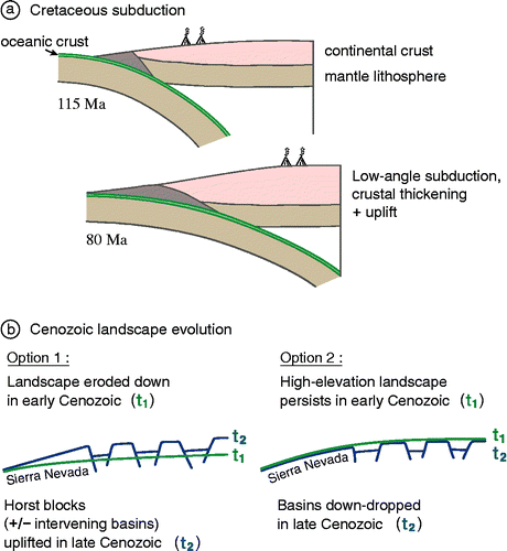 Figure 3 (a) Simplified cross-sectional view of the low-angle subduction that created a high plateau across Nevada and eastern California in Cretaceous time, referred to as the Nevadaplano (not drawn to scale) (DeCelles Citation2004). (b) A simple cartoon illustrating the end-member models for Cenozoic-landscape evolution (not to scale). Option 1: block-faulting model for uplift of the Sierra Nevada at 3–6 Ma (Hamilton and Myers Citation1966). Option 2: origin of the Sierra Nevada on the shoulder of a high plateau inherited from Cretaceous time, disrupted by down-dropping of basins in Cenozoic time.