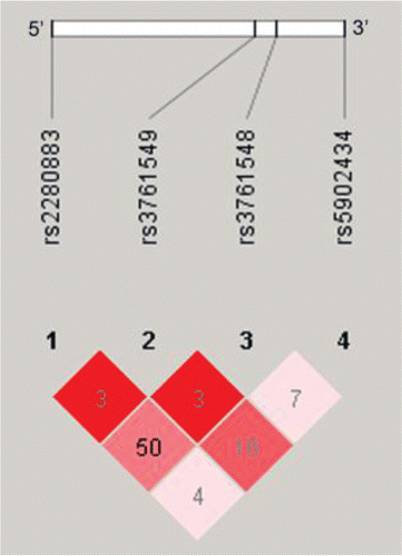 Figure 3. Schematic overview of human FOXP3 gene and linkage disequilibrium analysis in COPD cases and controls (Haploview 4.20 version). The standard (D/LOD) was represented by red color and r2 was presented as a number.