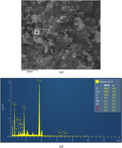 Figure 12. (a) SEM micrograph of M80G20 mixture (b) EDX spectrum at the identified location.