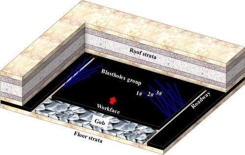 Figure 3. A typical blastholes group layout of deep-hole blasting in underground coal mines.