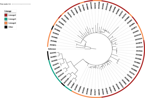 Figure 1 The phylogeny tree.