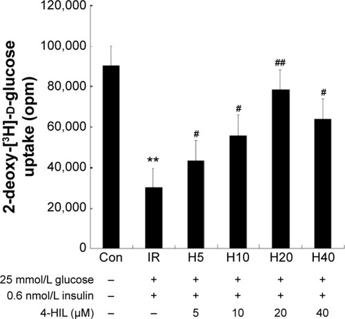 Figure 1 The effects of high glucose, insulin, and different concentrations of 4-HIL on insulin-induced 2-DOG uptake in 3T3-L1 adipocytes.