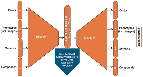 Figure 1. Autoencoders: a natural framework for data integration that may learn the hidden state of the biological system.Autoencoders consist of encoder and decoder functions that can compress high-dimensional data into a latent representation and then reconstruct the output, bringing light to hidden states that may exist in the data from disparate sources. Drug discovery problems include target identification, biomarker selection, compound prioritization, and patient stratification.