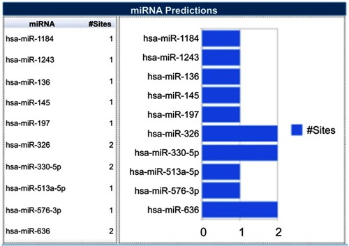 Figure 5 TargetScan miRNA predictions.
