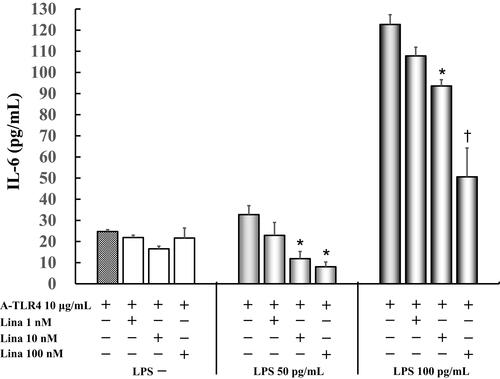 Figure 2 Effect of linagliptin on IL-6 production in LPS (50 pg/mL, 100 pg /mL) induced and anti-TLR4 antibodies treated cells in presence of FBS. Human U937 monocytes were treated with linagliptin and anti-TLR4 antibodies after induction with LPS (50 pg/mL, 100 pg/mL). IL-6 levels in the supernatants were determined by enzyme-linked immunosorbent assay (ELISA) after 24 h of treatment. *P < 0.05 vs A-TLR4 10 μg/mL alone; †P< 0.0001 vs A-TLR4 10 μg/mL alone.