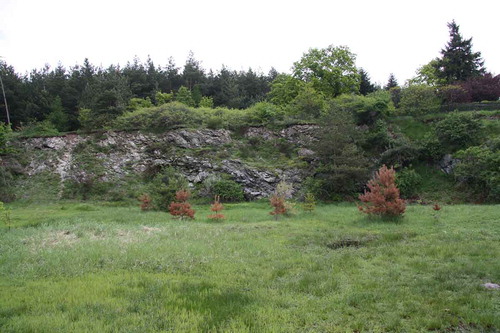 Figure 6. Quarry No. 10.