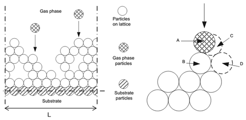 Figure 6. (A) Deposition process in growing a film in two-dimensional triangular lattice. The measure A is the diameter of particles, so La represents the lateral extent of the network. (B) Layout of adsorption and relaxation of the incident particle (A); (B) is the first particle observed by A on the surface, (C) is the nearest vacancy and (D) is the site where the atom A relaxes.Citation10