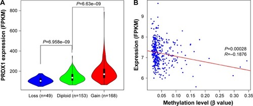 Figure 6 Correlation analysis of PRDX1 expression with copy number variation (A) and methylation data (B).