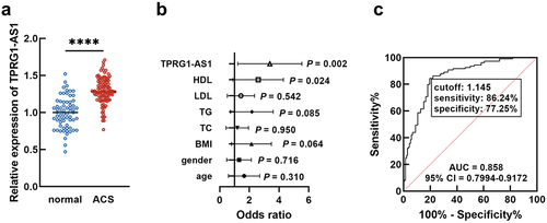 Figure 1 Expression and significance of TPRG1-AS1 in ACS. (a). TPRG1-AS1 was upregulated in ACS relative to the normal group. (b and c). TPRG1-AS1 was identified as a risk factor for ACS (b) and could discriminate ACS patients from the normal group (c). ****P < 0.0001.
