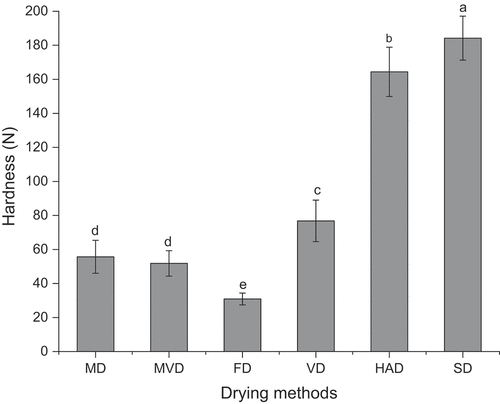Figure 4. Effects of different drying methods on the hardness of freeze-thaw pretreated beetroots. Means with different letters were significantly different (p < .05).