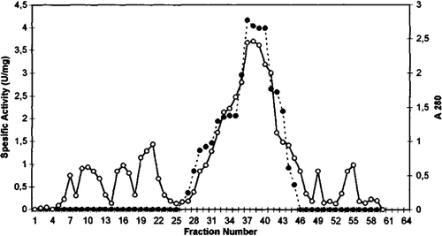 Figure 1.  DEAE cellulose chromatography of chicken erythrocyte GST. (…•…) GST activity, (—o—) absorbance at 280 nm.