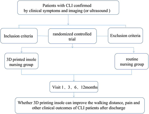 Figure 1 Clinical experiment process: patients were divided into two groups according to screening after admission, and follow-up in 1, 3, 6 and 12 months.