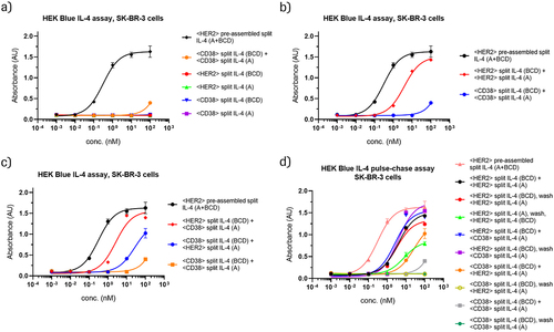 Figure 4. HER2-binding IL-4 prodrugs assemble on HER2-expressing, CD38-negative SK-BR-3 cells and elicit IL-4 cis- and trans-signaling.