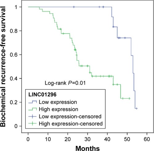 Figure 2 Kaplan–Meier survival curves of two groups of patients with prostate cancer based on LINC01296-expression levels (P=0.01).