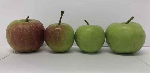 Figure 1. Sample image of unripe apple.