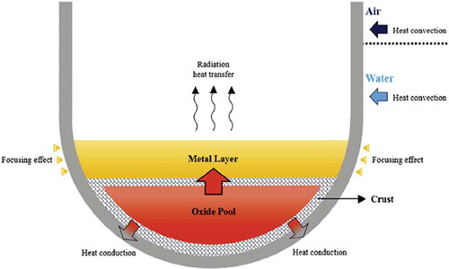 Fig. 1. Heat flux focusing effect at vessel in the upper metallic layer.
