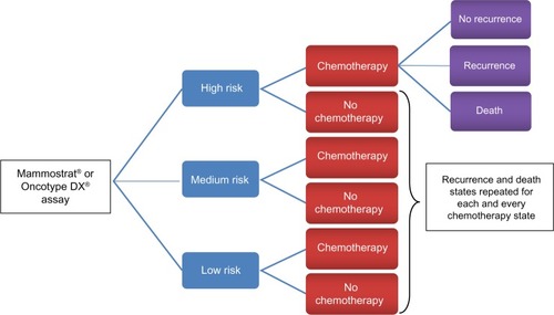 Figure 1 Sequence of disease states during the first year in the model.