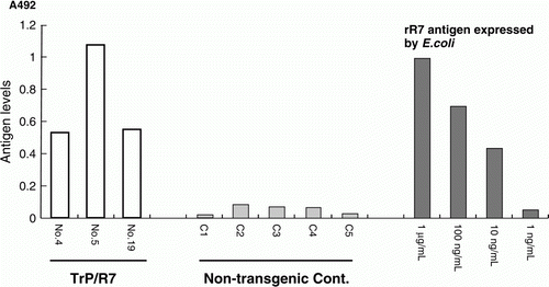 Figure 3.  Detection of rR7 antigen in TrP/R7 leaves by sandwich ELISA using monoclonal antibody R1. The rR7 antigen detected is shown as: white bar, regenerated TrP/R7 potato; grey bar, non-transgenic potato as control; and dark grey bar, E. coli expressed. The number displayed on graph represents the individual number of TrP/R7 or non-transgenic potato leaves.