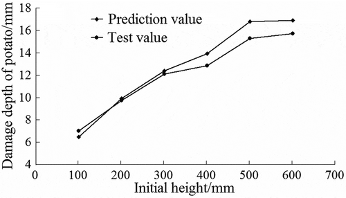 Figure 5. The relationship between the damage depth of potato and initial height.