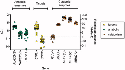 Figure 2. Expression of genes involved in the eCB signalling system in samples from 14 healthy volunteers: qPCR data. The blue inverted triangles in the figure show the ΔCt values for a single non-malignant tissue sample from a case with SCCOT where the Norgen extraction method was used. In all extracts except NAAA and CNR1, melt curves were deemed satisfactory. For NAAA, only seven extracts (for the controls) gave satisfactory melt curves, hence the smaller sample size in the figure. For CNR1, the control data are for the 12 extracts giving satisfactory melt curves. The right axis shows the geometric mean values relative to the mean geometric values for FAAH, i.e. 2−ΔΔCt with respect to this gene. MGLL(1) and MGLL(2) refer to the two different primer pairs used (see Table 2).