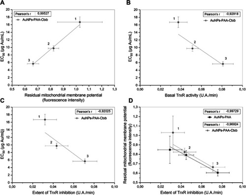 Figure 9 Correlation analyses showing the relation between the residual mitochondrial membrane potential and cell viability (A); the basal TrxR activity and cell viability (B); the extent of TrxR activity and cell viability (C); and the extent of TrxR inhibition and the residual mitochondrial potential (D). Data are presented as mean ± SD (for mitochondrial membrane potential and TrxR activity) or 95% CI (for EC50). 1= HK-2 cells, 2= THLE-2 cells and 3= TIME cells.Abbreviations: CI, confidence interval; HK-2, human kidney cells; SD, standard deviation; THLE-2, human liver cells; TIME, human telomerase immortalized microvascular endothelial cells; TrxR, thioredoxin reductase; AuNPs-PAA, polyallylamine-coated gold nanoparticles; Ctxb, cetuximab; EC50, half maximal effect concentration.