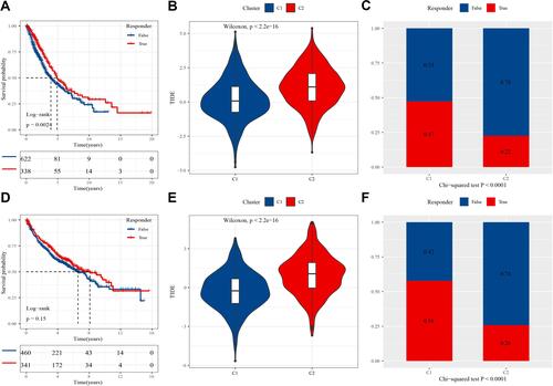Figure 6 Sensitivity of two subtypes to immunotherapy predicted by TIDE. (A) Kaplan-Meier survival plot of samples grouped by positive (true) and negative (false) responses to immunotherapy in the TCGA-NSCLC dataset. Log rank test was performed. (B) TIDE score of C1 and C2 subtypes in the TCGA-NSCLC dataset. Wilcoxon test was performed. (C) The distribution of positive and negative responses in C1 and C2 subtypes in the TCGA-NSCLC dataset. Chi-square test was performed. (D) Kaplan-Meier survival plot of samples grouped by positive and negative responses to immunotherapy in GSE cohorts. Log rank test was performed. (E) TIDE score of C1 and C2 subtypes in GSE cohorts. Wilcoxon test was performed. (F) The distribution of positive and negative responses in C1 and C2 subtypes in GSE cohorts. Chi-square test was performed.