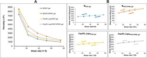 Figure 3 (A) Rheogram and (B) Thixotropic behavior of in situ gel formulations at physiological temperature.