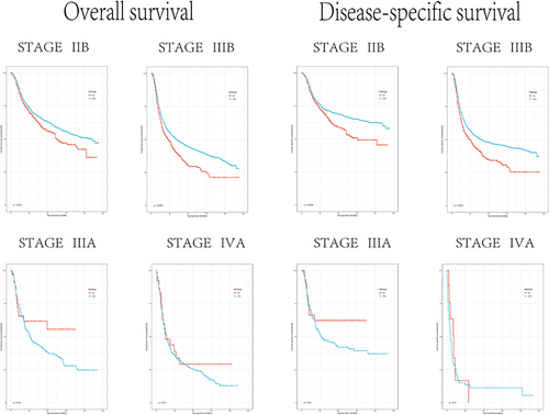 Figure 5 OS and CSS data of cervical squamous cell carcinoma and cervical adenocarcinoma in different stages after radiotherapy and chemotherapy.