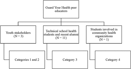 Figure 3. Description of Guard Your Health peer educators.