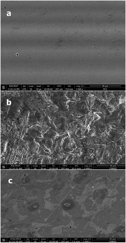 Figure 5. SEM micrograph (2000 X) of C-steel surface: (a) polished surface of metal, (b) polished C-steel immersed in 2.0 M HCl after 3 h, (c) polished C-steel immersed in 2.0 M HCl containing 50 ppm of MA-amido surfactant after 3 h.