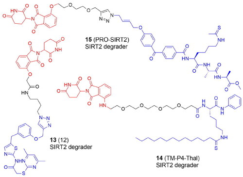 Figure 4. Structures and activities of PROTACs targeting SIRT2.