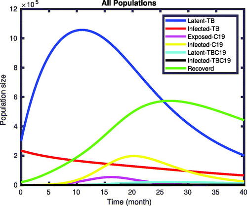 Figure 2. Numerical simulations of the model.